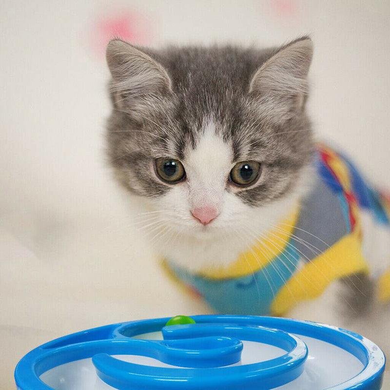 1PCS Cat Tracks Toys Pet Kitten Hunting, Chasing & Exercising Pet Supplies