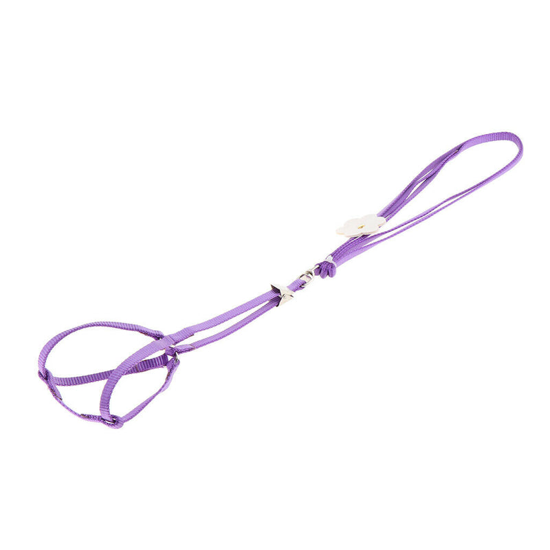 2 Pcs Birds Fly Adjustable Suit Durable Rope Light Leash Safety Convenient to