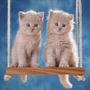 5D Full Round Diamond Painting Animals diy Cross Stitch (Cats-LD289)