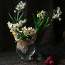 400pcs mixed daffodil double narcissus duo bulbs seeds spring plant SP