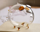 Piggy Bank Design Glass Money Box Vase Bottle Terrarium Container