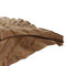 Catappa Leaf Betta Leaves Water Conditioner for   Tank Aquarium Pets , 10