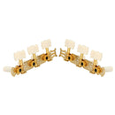 Classical Guitar String Button Three Connections Tuning Pegs A