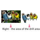 5D DIY Diamond Painting Parrots Cross Stitch Embroidery Rhinestones Mosaic
