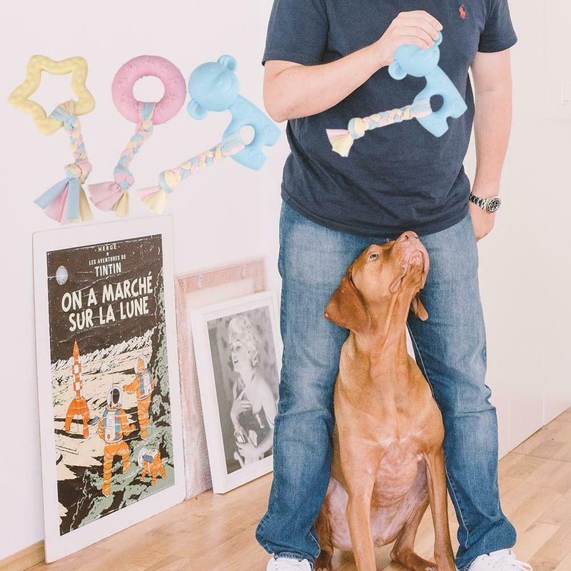 3pcs Natural Rubber Pentagram Circle Monkey Shape Pet Dog Interactive Chew Toys