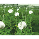 10Pack 15m Gardern Tomato Hooks Vegetable Clamps For Planting Vegetable Cucumber