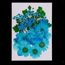 5 Kinds Flowers Natural Pressed Dried Flowers Pressed Leaves For Scrapbooking