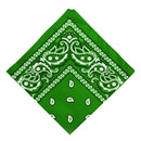 Women Men Novelty Paisley Print Cowboy Bandana Head Wrap Kerchief Green