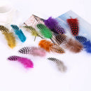 50 Dyed Guinea Fowl Feather Natural Fishing Millinery Craft DecorationOZ