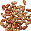 100 Pieces Oval Print Pattern Wooden Beads DIY Accessories Beads L6X8