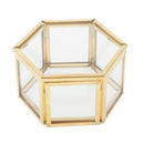 Glass Jewelry Organizer Display Case With Lid Plants Flower Holder Terrarium