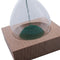 Green wood + glass + iron powder sand iron flowering magnetic hourglass wit L7H7
