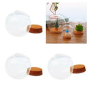 3xGlass Cloche Dome Cover Terrarium Container Mini Display Bell Jar W / Cork
