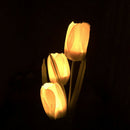 Tulips Flower Solar LED Lawn Lamp Spike Warm Light Outdoor Landscape Garden