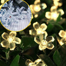 20LED 5m Solar Cherry Blossom String Light Decorative Lamp (Warm White)