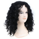 14inch Hair Kinky Curly Wig Synthetic Wig African Wigs for Black Women BeautyJ!c