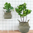 Folding Straw Planter Pot Handled Wicker Basket Flowers Plants Holder Beige