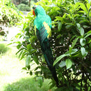 Large Artificial Parrot Bird Realistic Home Decor Budgie Taxidermy Green