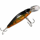 5 Wobbler Artificial Lure Jerkbait Hecht Predator