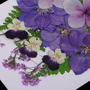 2x Multiple Pressed/Dried Leaves Flowers Scrapbooking Art Craft DIY Material