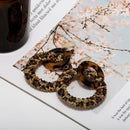 Acrylic Earrings Women Leopard Print Rattan Pendant Earrings Geometric Roun