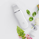 4In1 Ion Ultrasonic Skin Scrubber Face Spatula Cleaner Blackhead Comedones