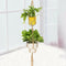 Beige Double Macrame Plant Hanger 2 Tiers Hanging Planter Pot Holder 120cm