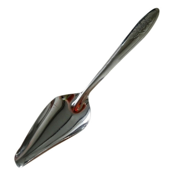 Pet Bird Parrot Cockatiel Metal Hand Milk Food Medicine Feeding Spoon  New