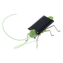 Solar Powered Grasshopper. Just Place in the Sun and Watch it's Legs Jiggle