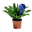Hydro Globes Mini Automatic Watering Bulbs, 2 Piece Deluxe Set