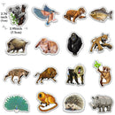 80pcs/set Rainforest Animals Stickers for Laptop Bottle Bicycle Cute StiSEAU