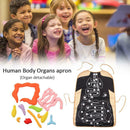 Human Body Organs Apron Awareness Insights Educational Toys for Children New