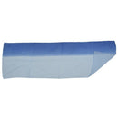 Gradient Color Wrap Ladies Shawl Silk Chiffon Scarf Scarves (Light blue to