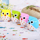 Funny Lovely Attractive Owl Bird Pencil Sharpener School Stationary Random JR