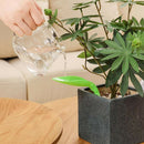 1PC Potted Plant Diversion Watering Device Plant Leaf Watering Device Divers Hn