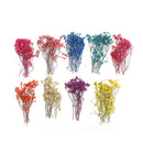 Garden Micro Landscape Accessories Dried Flowers Crystal Grass DIY Home DSEAU