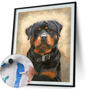 Painting By Numbers Kit DIY Sad Dog Hand Painted Canvas Oil Art Picture A