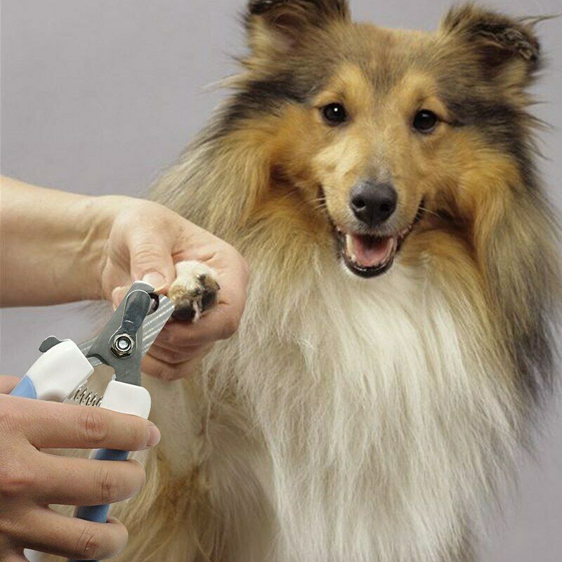Pet Safety Claw Nail Scissors Cutter Dogs & Cats Nail Clippers and Trimmer