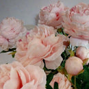 3 Heads Artificial Flowers Peony Bouquet Silk Flowers Bridal Bouquet Fall V