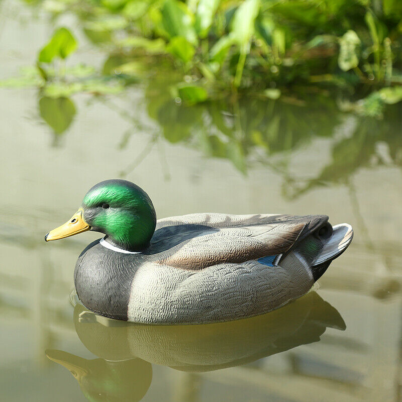 Fishing Hunting Decoy Plastic Duck Decoy Drake with Weighted Floating Kee