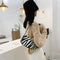 Women Plush Shoulder Underarm Bag Zebra Printed Fashion Winter Handbag (3)