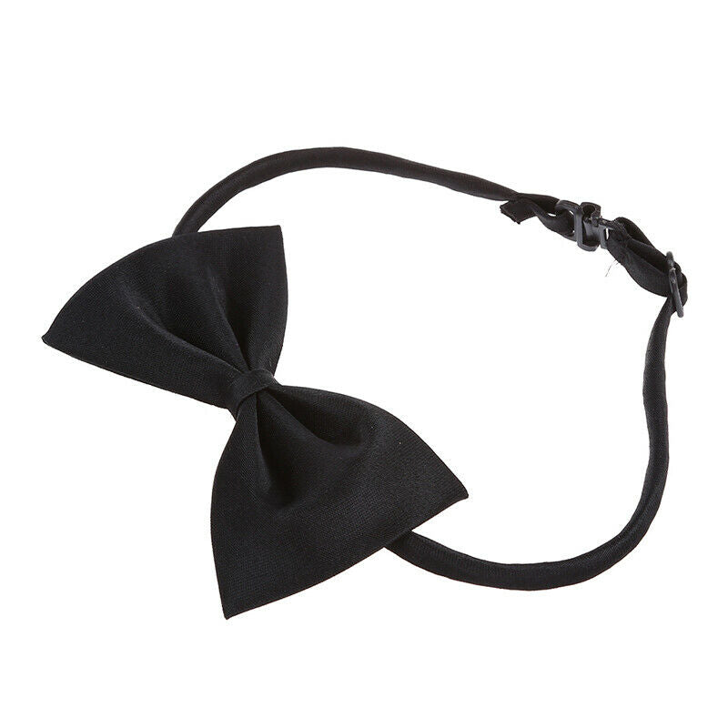 Pet Cat Dog Bow Tie - black F6D9