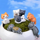 6x Cats Mini Landscape Minilandschaft Pot Culture Tools Decoration Miniatur ^