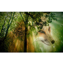 5D DIY Full Drill Diamond Painting Forest Wolf Cross Stitch Embroidery Kits