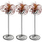 Air Plant Stand Holder Air Plant Base Container Tabletop Planter Tillandsia