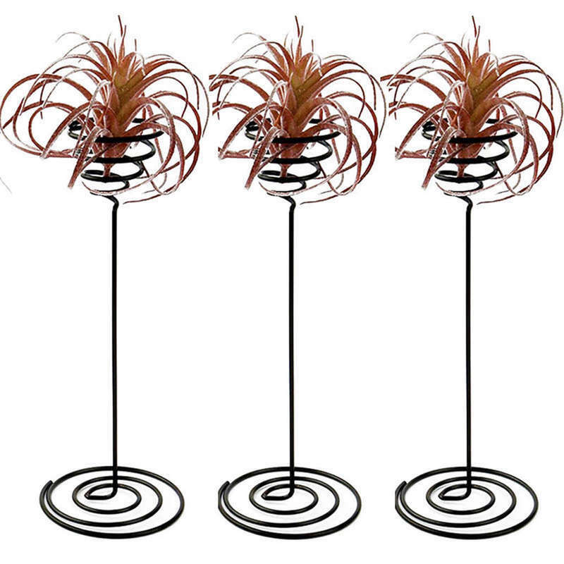 Air Plant Stand Holder Air Plant Base Container Tabletop Planter Tillandsia