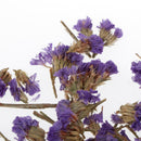 5 Bags Pressed Dried Flower Herbarium DIY Arts Crafts Scrapbooking