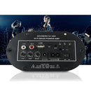 Car Hi-Fi Bass 25W Power Subwoofer Board Digital Amplifier 12V/24V/220V