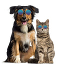 Lovely Dog Cat Glasses Pet Eye Protection Sunglasses Photos Props (Color) A