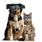 Lovely Dog Cat Glasses Pet Eye Protection Sunglasses Photos Props (Color) A
